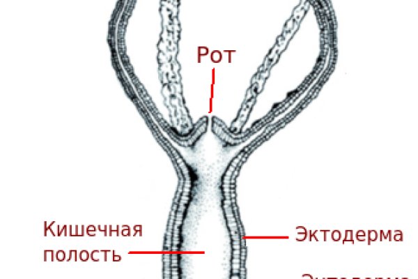 Kraken актуальное